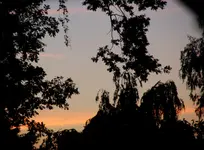 DSC_5511.webp