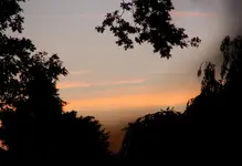 DSC_5513.webp