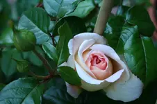 IMG_2032 - Kopie.webp