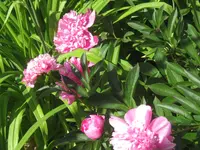 024.webp