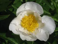 026.webp