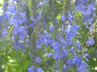 019.webp