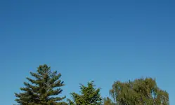 DSC_5515.webp