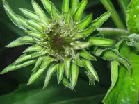 IMG_6199_1024x768.webp