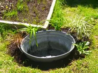 teich 3.webp