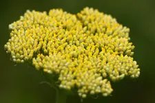 IMG_2609.webp