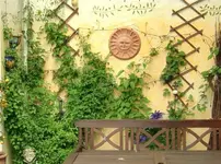 12 (Medium).webp