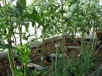 k-IMG_2881.webp