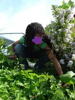 Walderdbeeren.webp