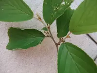 k-DSCF0145.webp