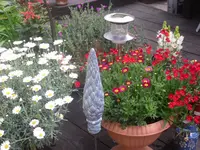 17.06.2010 007.webp