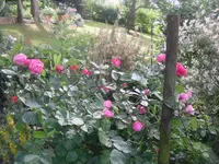 17.06.2010 030.webp