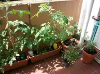 MD001070_800x800_100KB.webp