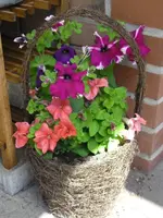 16.06 009.webp