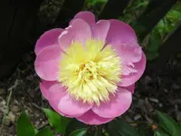16.06 011.webp