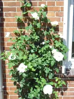 16.06 016.webp