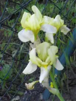 16.06 026.webp