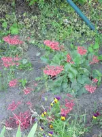 16.06 027.webp