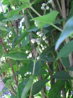 16.06 034.webp