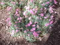 011.webp