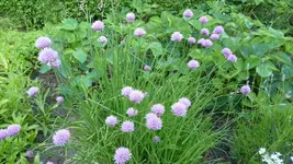 K800_17.6 020.webp