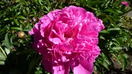 K800_17.6 021.webp