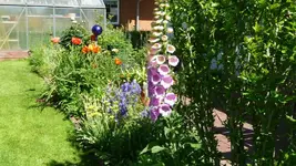 K800_An der Terrasse.webp