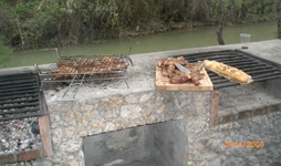 Grillen3.webp