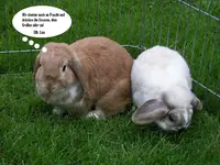 100_6853.webp