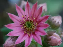 DSC_5516.webp