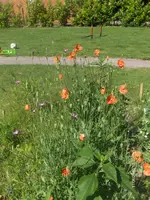 HPIM4773.webp
