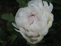 IMG_6239_1024x768.webp
