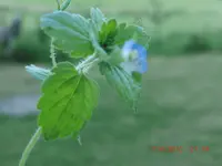 CIMG1821.webp