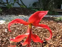 k-IMG_2921.webp