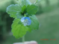 CIMG1822.webp