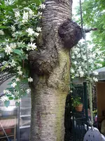 P1080612-3.webp