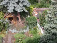 Blaufichte muß weg 7.webp Blaufichte muß weg 7.webp