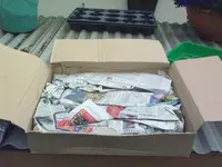 18062010337.webp