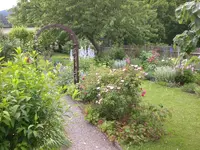 Garten Juni2 003.webp