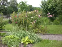 Garten Juni2 006.webp