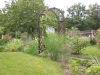 Garten Juni2 007.webp