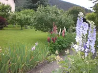 Garten Juni2 014.webp
