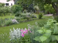 Garten Juni2 018.webp