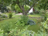 Garten Juni2 019.webp