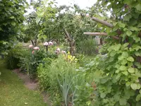 Garten Juni2 020.webp