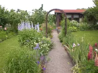 Garten Juni2 023.webp