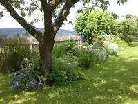 Garten Juni2 029.webp
