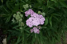 DSC03169.webp