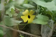DSC03168.webp