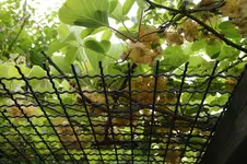 DSC03163.webp